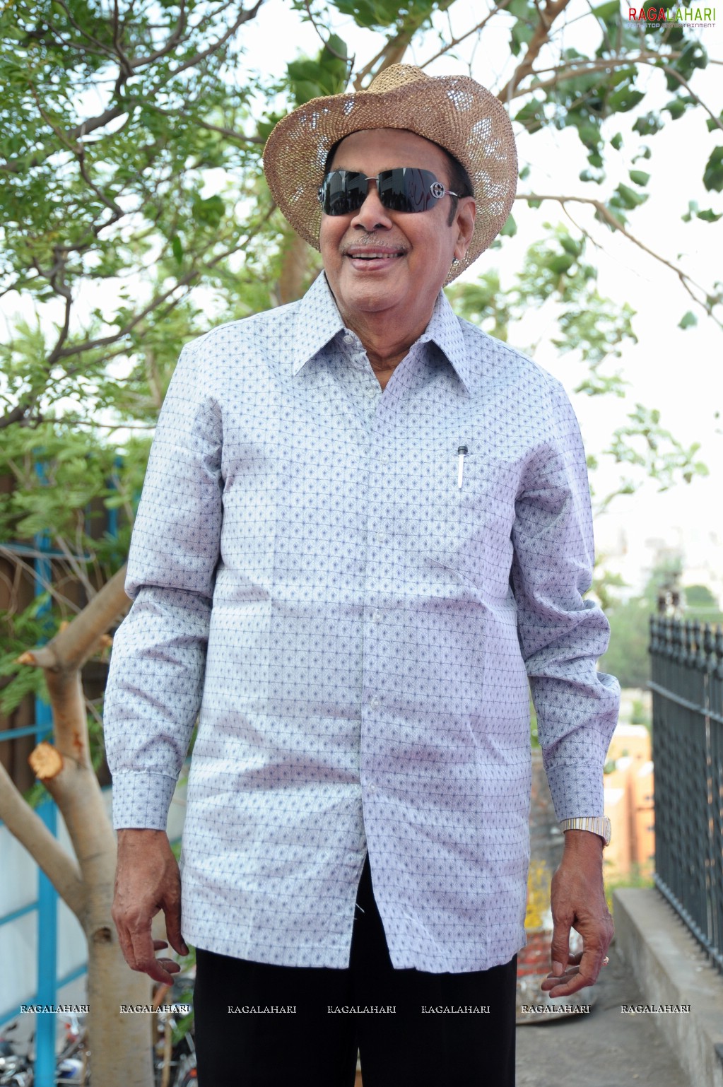 D Ramanaidu