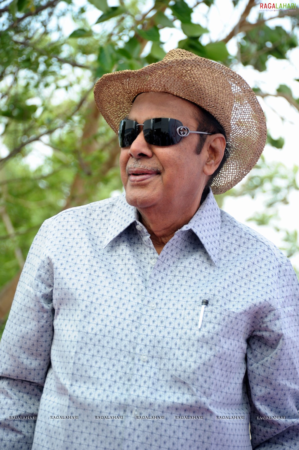 D Ramanaidu