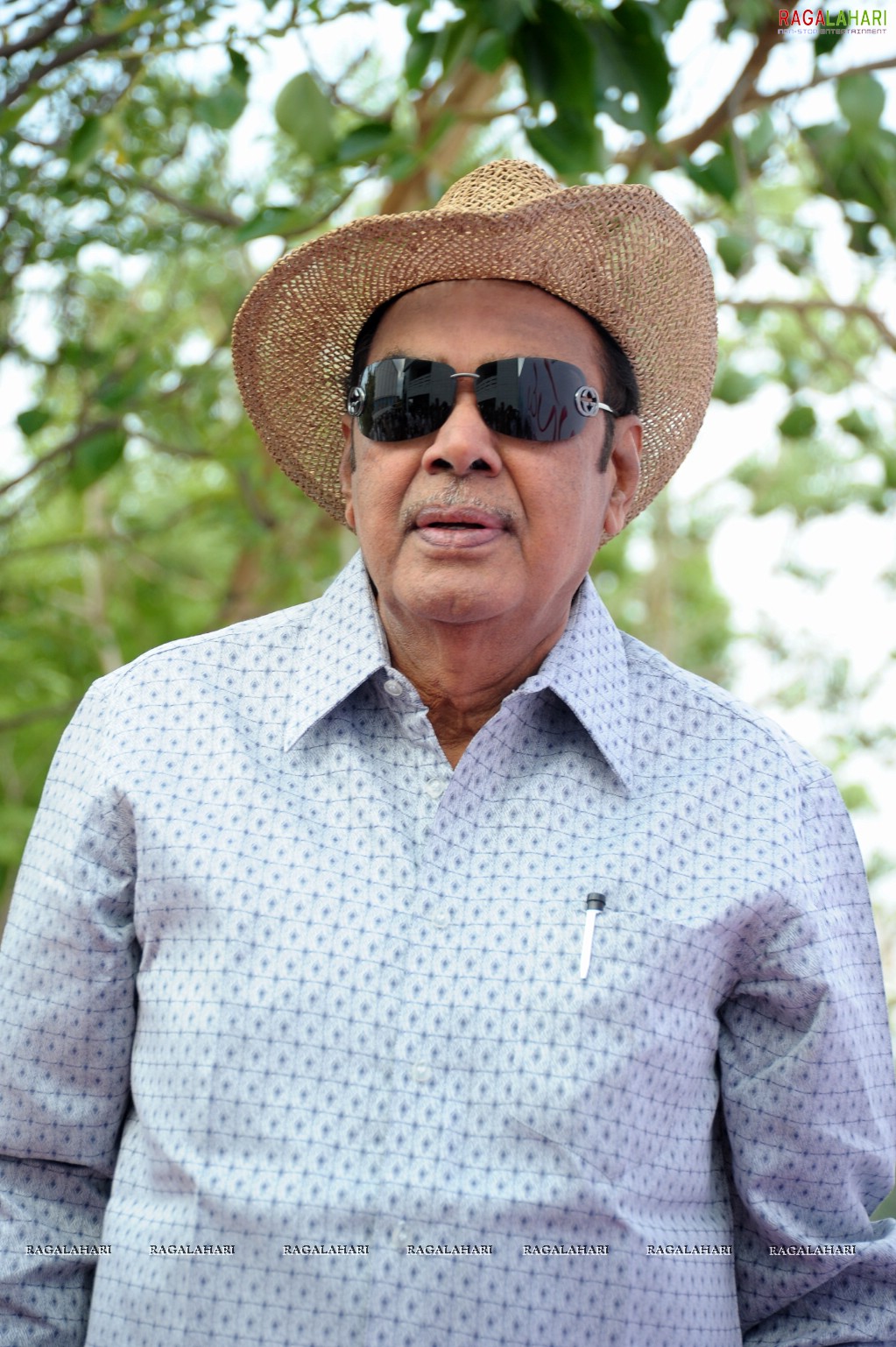 D Ramanaidu