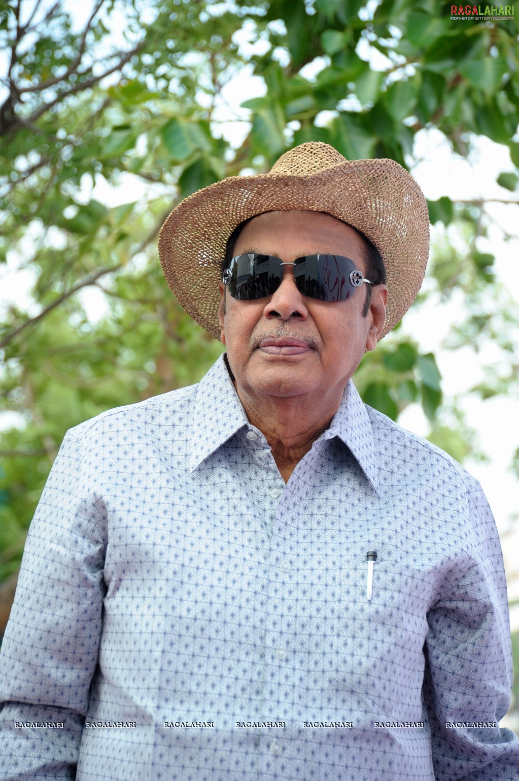 D Ramanaidu