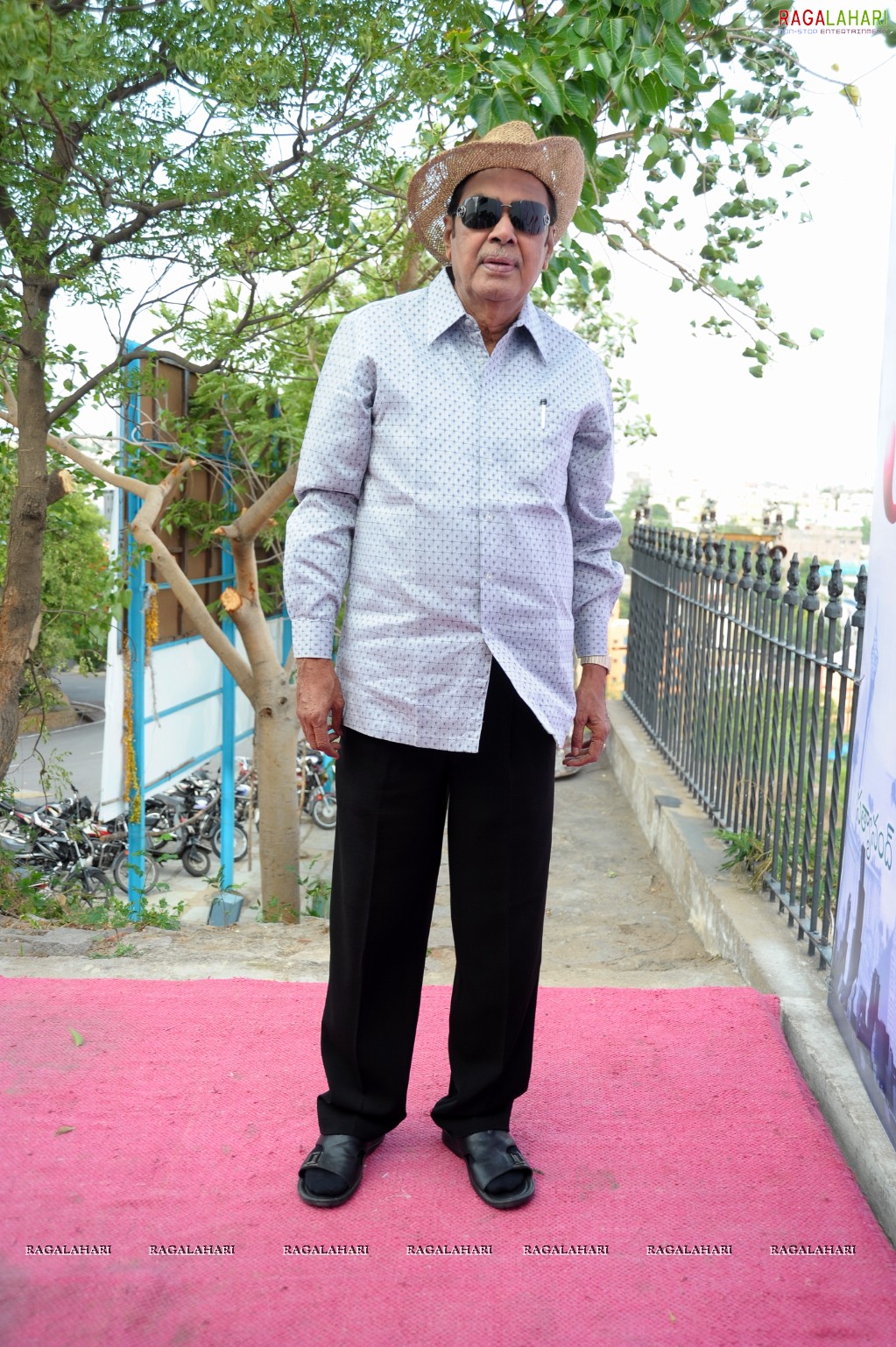 D Ramanaidu