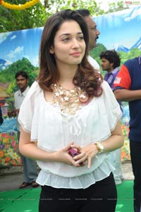 Tamanna