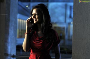 Shanvi HD Wallpapers