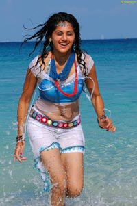 Sexy Taapsee in Daruvu - HD Wallpapers