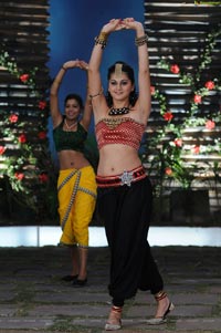 Sexy Taapsee in Daruvu - HD Wallpapers