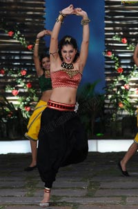 Sexy Taapsee in Daruvu - HD Wallpapers