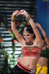 Sexy Taapsee in Daruvu - HD Wallpapers