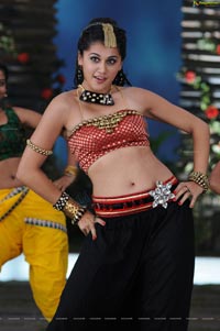 Sexy Taapsee in Daruvu - HD Wallpapers