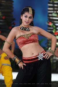 Sexy Taapsee in Daruvu - HD Wallpapers