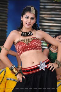 Sexy Taapsee in Daruvu - HD Wallpapers