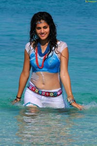 Sexy Taapsee in Daruvu - HD Wallpapers