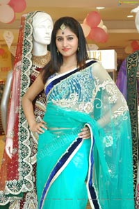 Beautiful Model Shamili in Cool Blue Net Saree