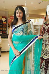 Beautiful Model Shamili in Cool Blue Net Saree