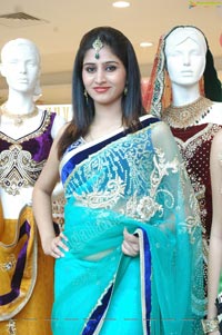 Beautiful Model Shamili in Cool Blue Net Saree