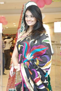 Nikitha Narayan in Sleeveless Saree Blouse