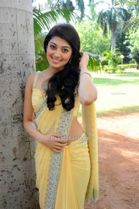 Pranitha in Sleeveless Saree Blouse