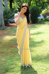 Pranitha in Sleeveless Saree Blouse