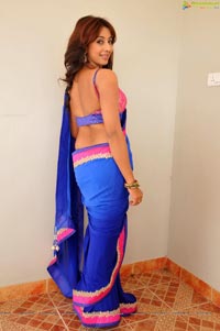 Sanjana posing in low back saree blouse