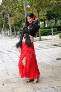 Lakshmi Rai in Thaandavam - High Resolution Posters