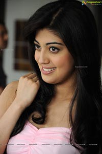 Photos of Praneetha in Sleeveless Pink Dress