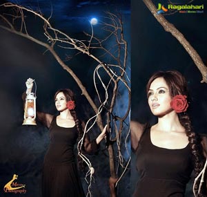 Sana Khan Portfolio Photoshoot