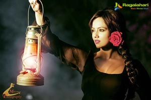 Sana Khan Portfolio Photoshoot