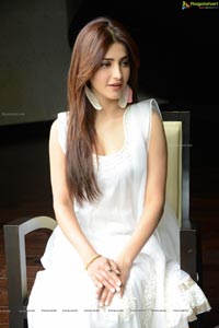 Balupu Heroine Shruthi Haasan