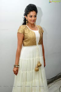 Priyamani @ Chandee Trailer launch