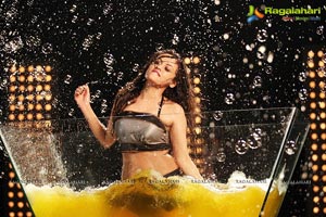 Sneha Ullal in Action 3D