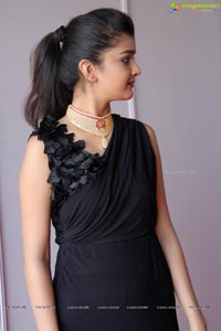 Hyderabad Model Kritika