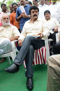 Nandamuri Balakrishna at SLV Cinema, Satyadeva film Muhurat