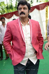 Nandamuri Balakrishna at SLV Cinema, Satyadeva film Muhurat