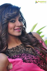 Shilpi Sharma Spicy Pics