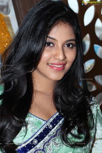 Tamil Heroine Anjali