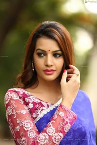 Diksha Panth in Blue Saree