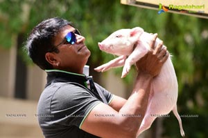 Allari Ravibabu with Piglet