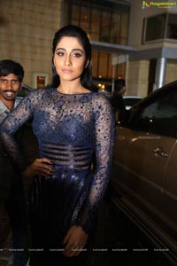 Regina Cassandra