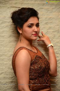 Sarayu Telugu Cinema