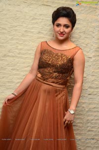 Sarayu Telugu Cinema