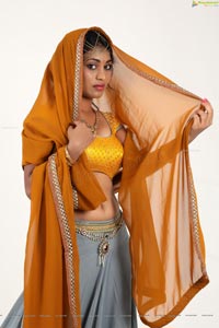 Priyanka Augustin Half Saree