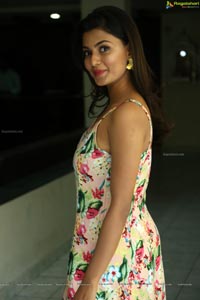 Anisha Ambrose