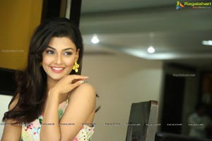 Anisha Ambrose