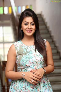 Tamil Actress Nikki Galrani