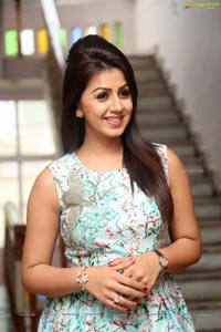 Tamil Actress Nikki Galrani