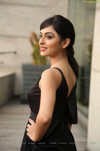 Pooja K Doshi