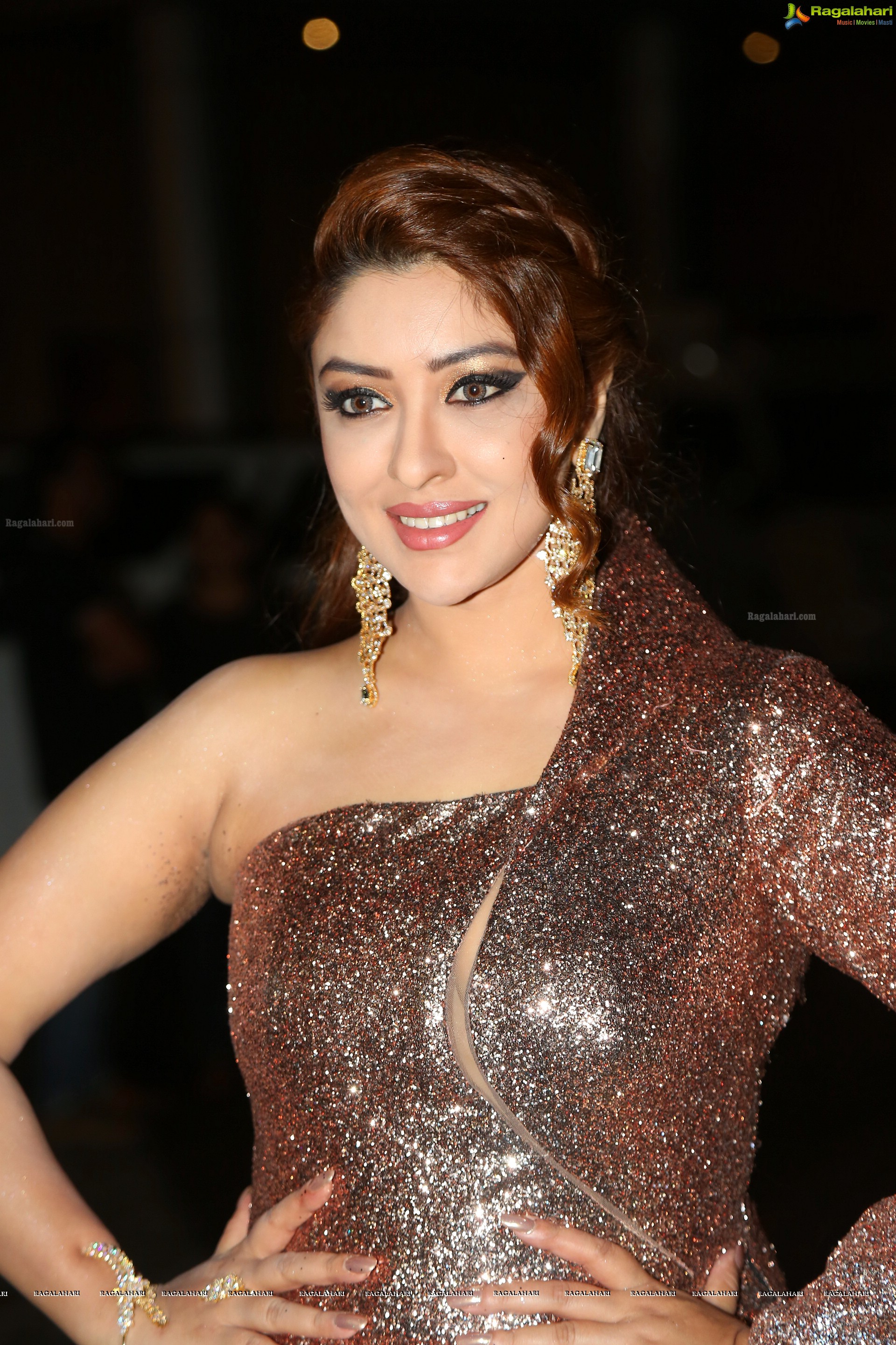 Payal Ghosh at Jio Filmfare Awards (South) 2018 (High Definition Photos)