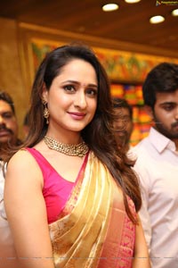 Pragya Jaiswal in Pattu Saree