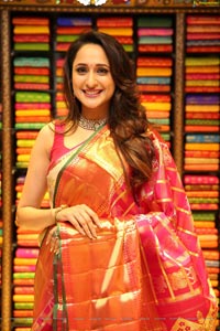 Pragya Jaiswal in Pattu Saree