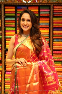 Pragya Jaiswal in Pattu Saree