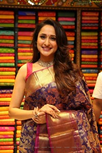 Pragya Jaiswal in Pattu Saree